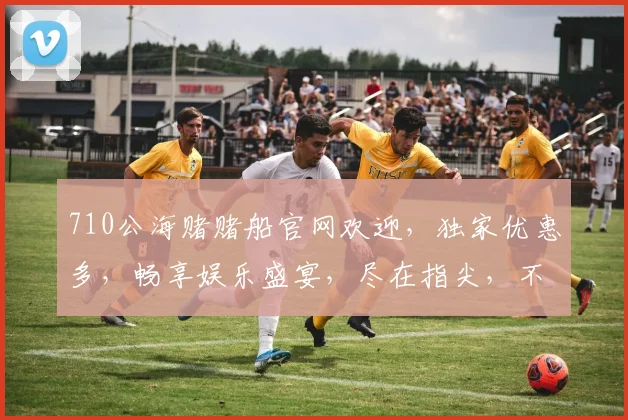 710公海赌赌船官网欢迎，独家优惠多，畅享娱乐盛宴，尽在指尖，不容错过，体验非凡