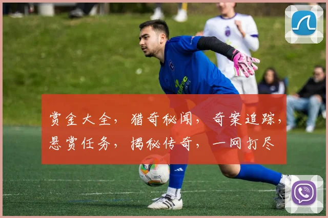 赏金大全，猎奇秘闻，奇案追踪，悬赏任务，揭秘传奇，一网打尽